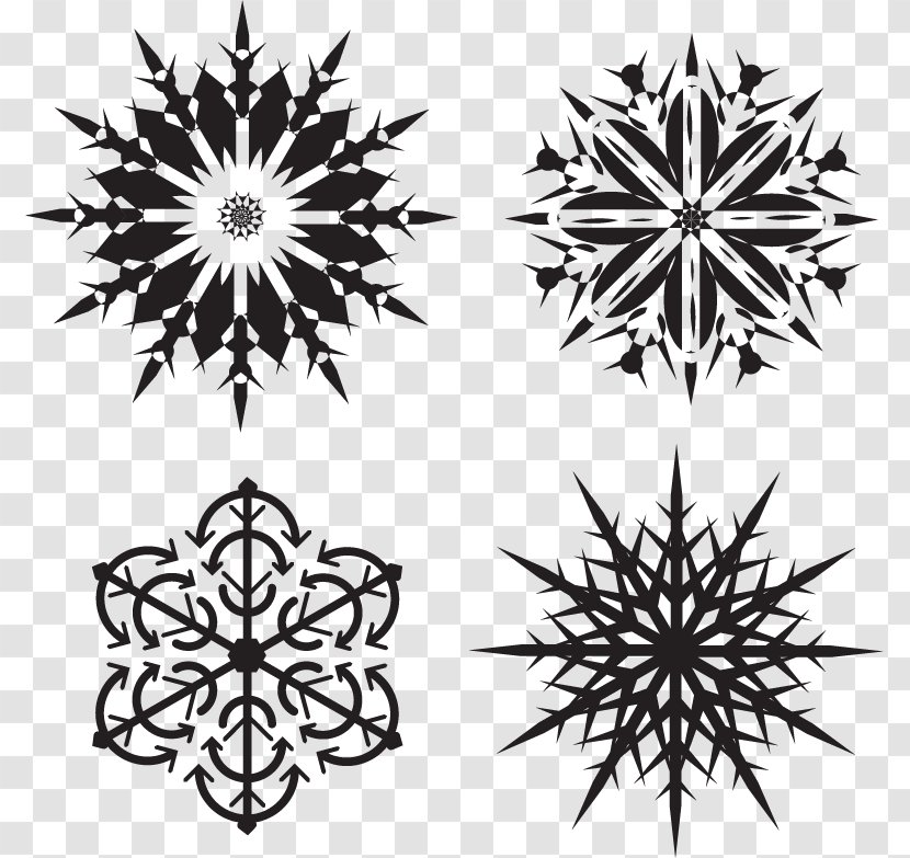Snowflake Illustration - Monochrome Photography - Vector Snowflakes Transparent PNG