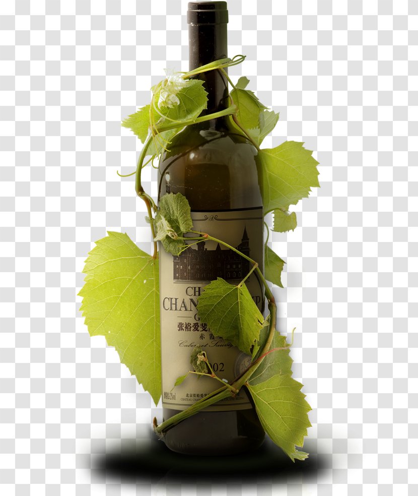 Red Wine Grape - Beer Bottle Transparent PNG