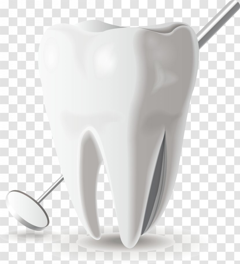 Tooth Euclidean Vector Mouth - Flower - Medical Dental Model Icon Transparent PNG