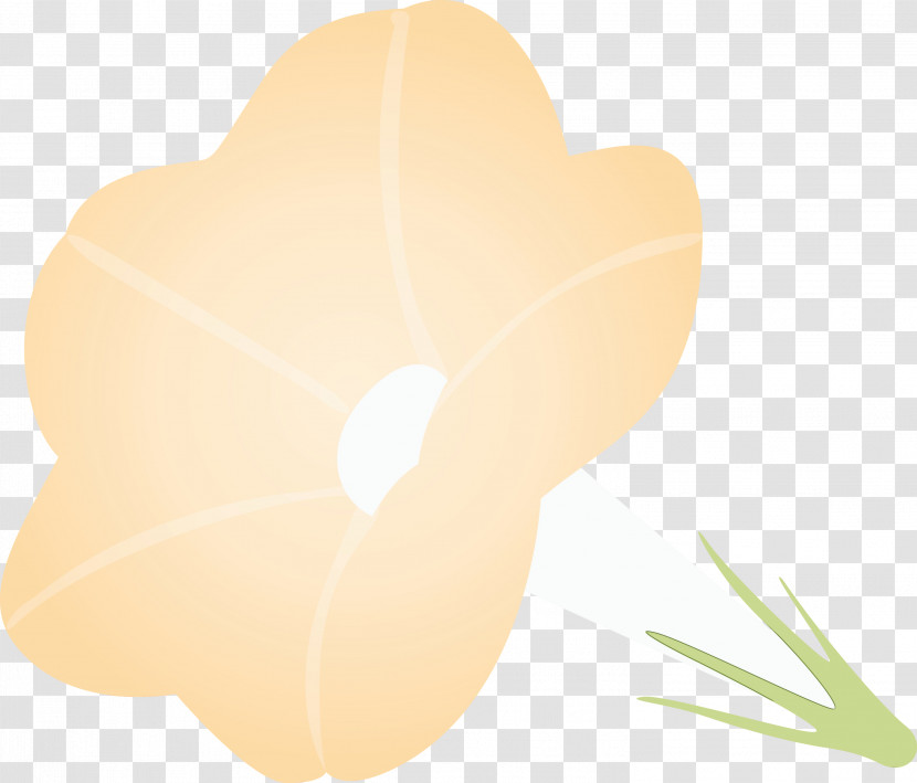 Petal Leaf Plant Flower Herbaceous Plant Transparent PNG