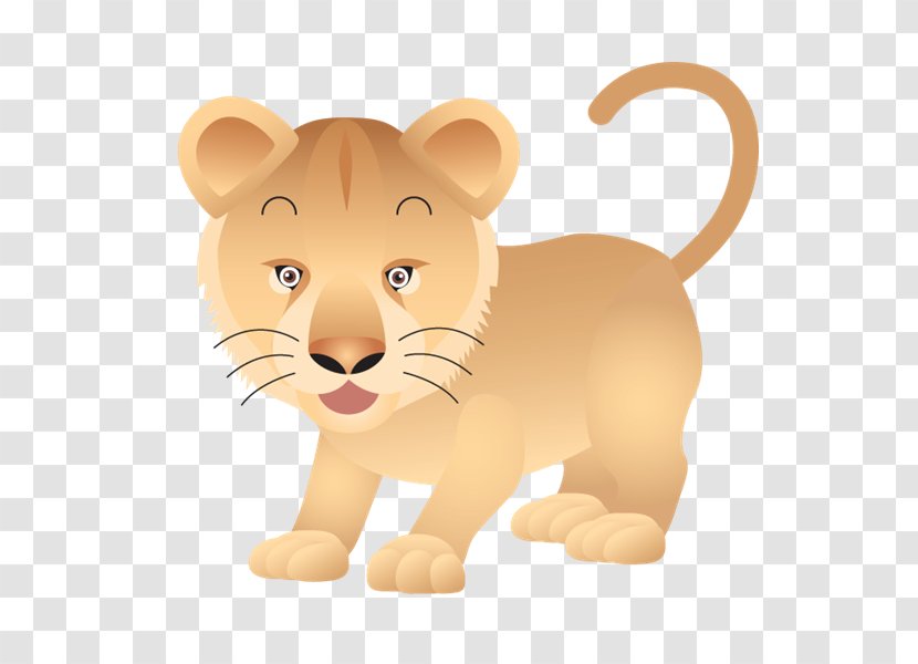 Lion - Snout - Wildlife Transparent PNG