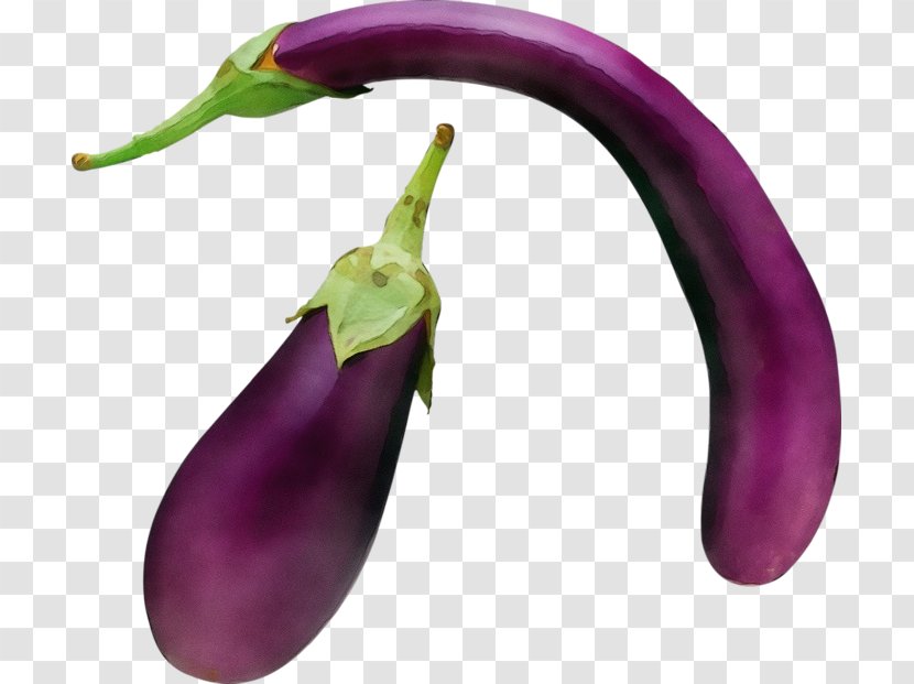 Eggplant Vegetable Purple Bell Peppers And Chili Plant - Flowering Serrano Pepper Transparent PNG