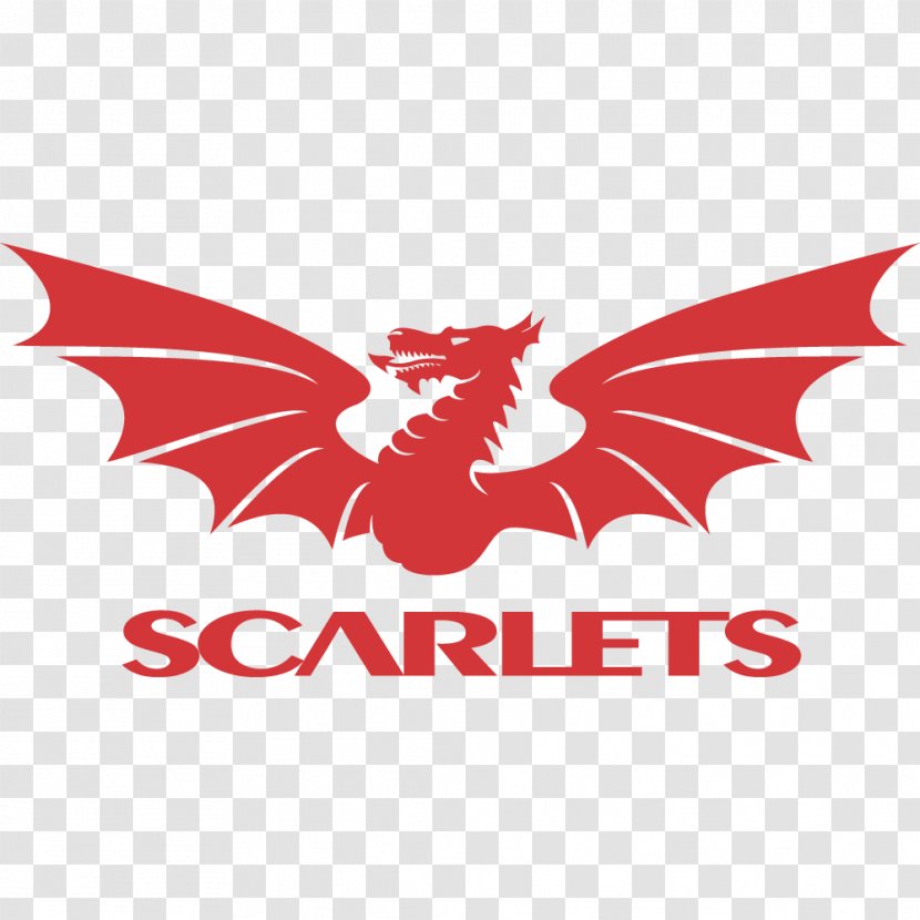 Parc Y Scarlets Guinness PRO14 European Rugby Champions Cup Edinburgh - Glass Palace Ga Transparent PNG