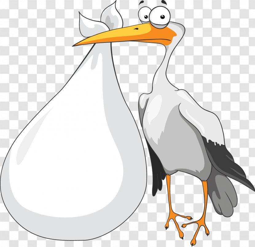 Ciconia Clip Art - Drawing - Stork Baby Transparent PNG