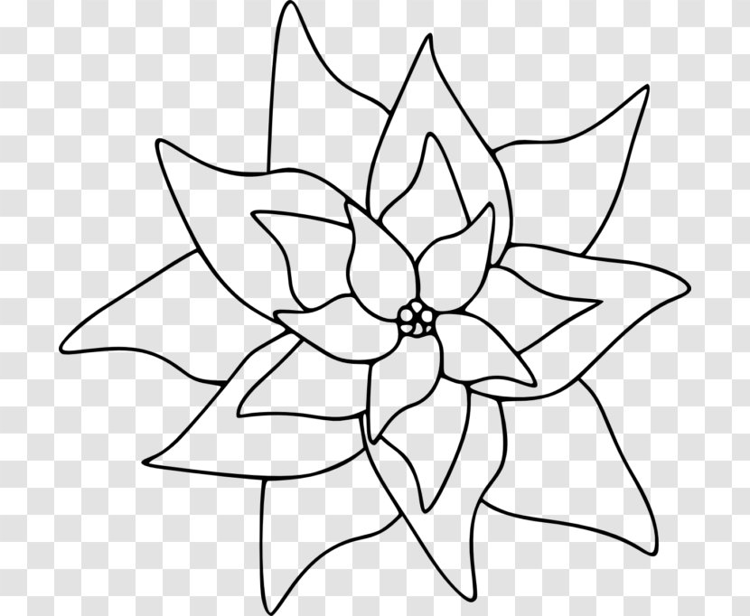 Poinsettia Coloring Book Flower - Plant Transparent PNG