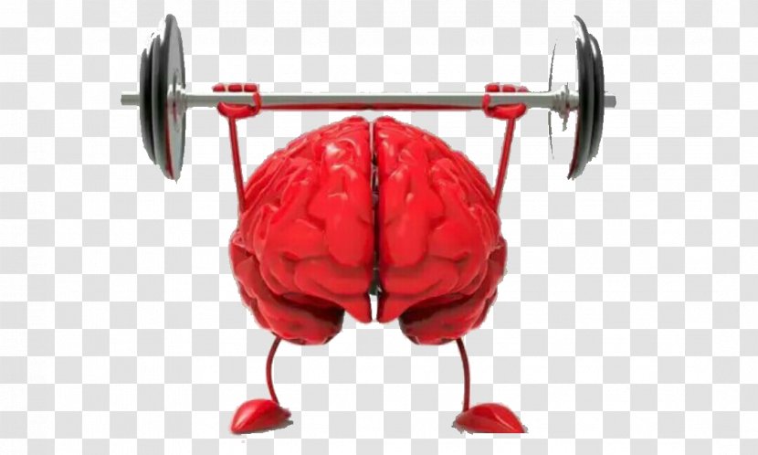 Brain Size Agy Neuroscience Cognitive Training - Silhouette - Weightlifting Transparent PNG