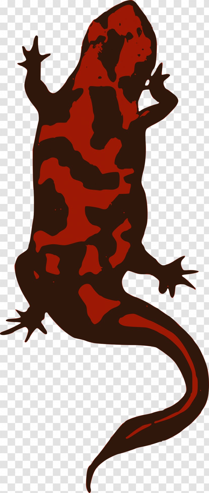 Clip Art - Salamander Transparent PNG