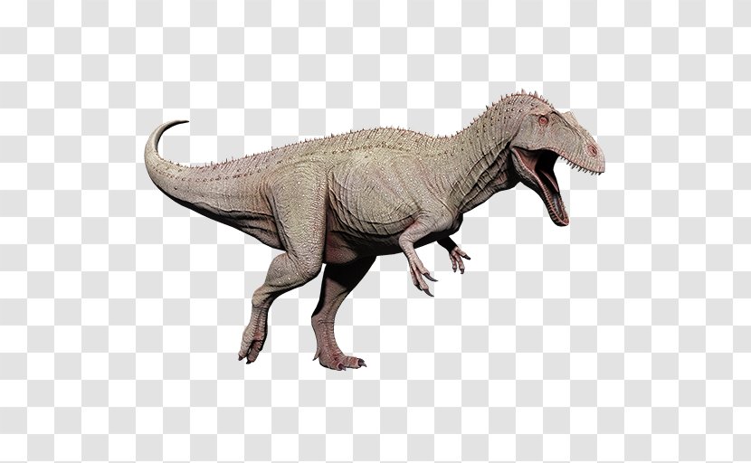 Tyrannosaurus Acrocanthosaurus Extinction Carcharodontosaurus Velociraptor - Fauna Transparent PNG