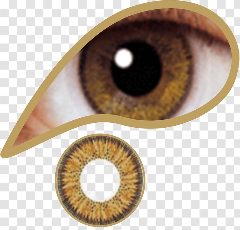 Contact Lenses Aqua Blue Limbal Ring - Circle Lens - Eye Transparent PNG