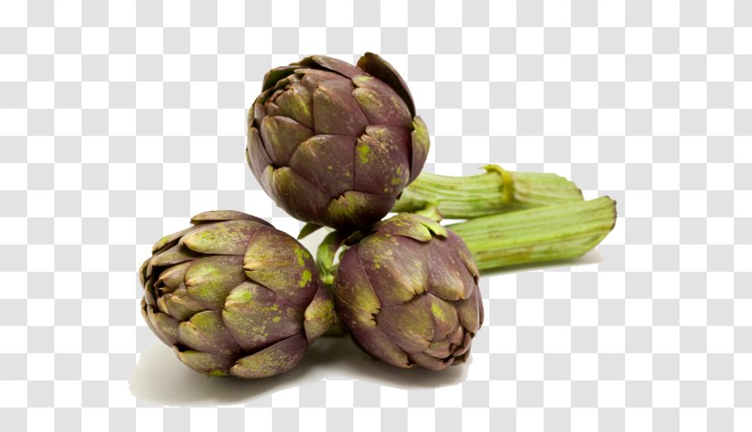 Artichoke Carciofi Alla Giudia Vegetable Food - Recipe - Artichokes Free Download Transparent PNG