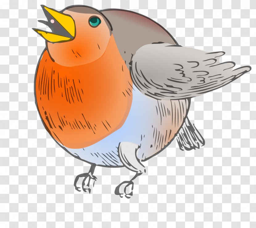 European Robin Bird Round-robin Scheduling Clip Art - Magpierobin - Rectangle Transparent PNG