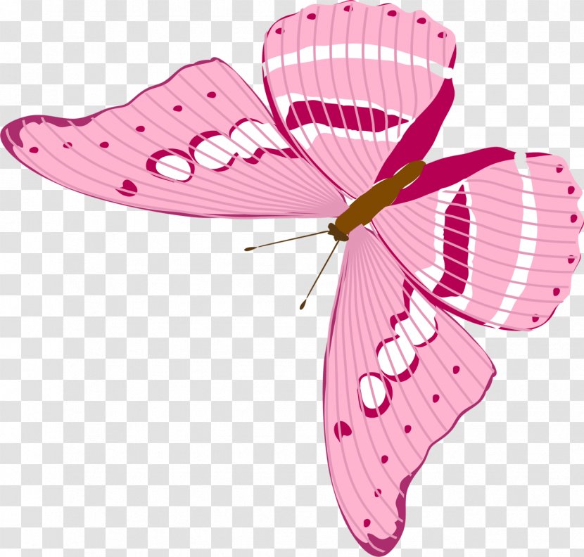 Butterfly Insect Pollinator Arthropod Clip Art - Usb Flash Drives Transparent PNG