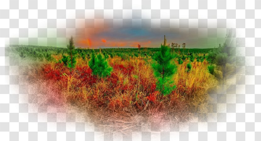 Desktop Wallpaper Computer Sky Plc - Autumn Scenery Transparent PNG