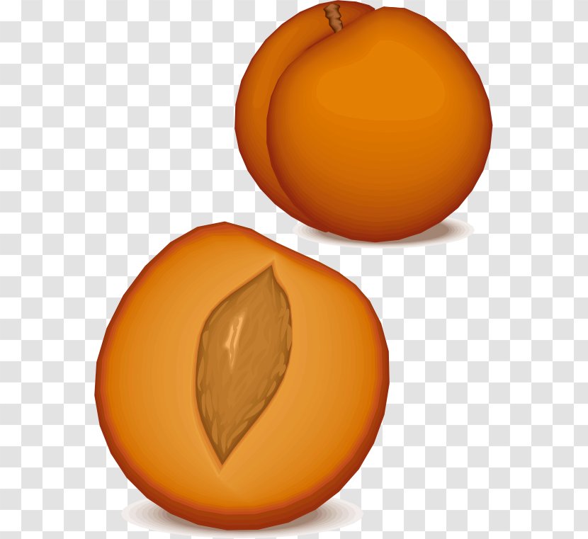 Fruit Clip Art - Orange - Peach Transparent PNG