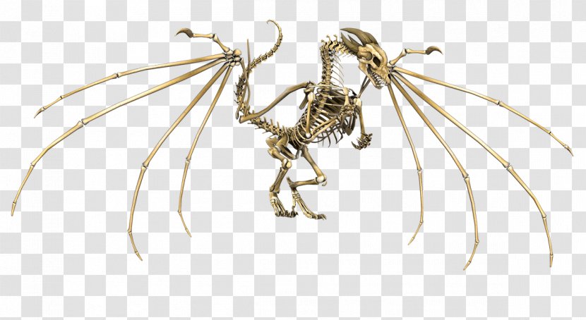 European Dragon Skeleton Skull - Insect Transparent PNG