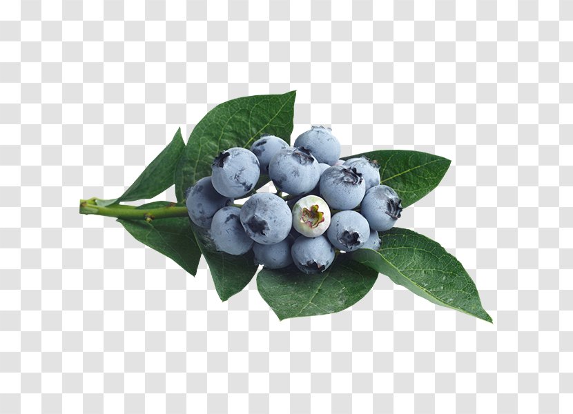 Blueberry Bilberry Fruit Juice - Vegetable Transparent PNG