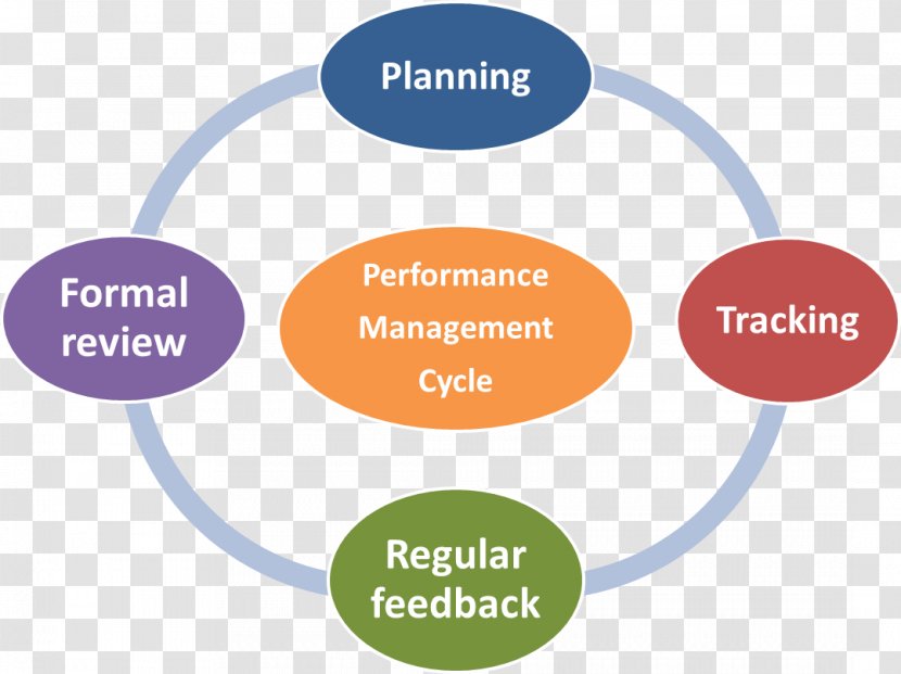 Business Performance Management Appraisal Human Resource - Learning Transparent PNG