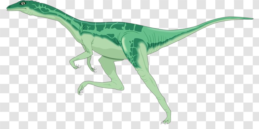 Dinosaurus The Lost World Velociraptor Brachiosaurus Stegosaurus - Tyrannosaurus - Dinosaur Transparent PNG