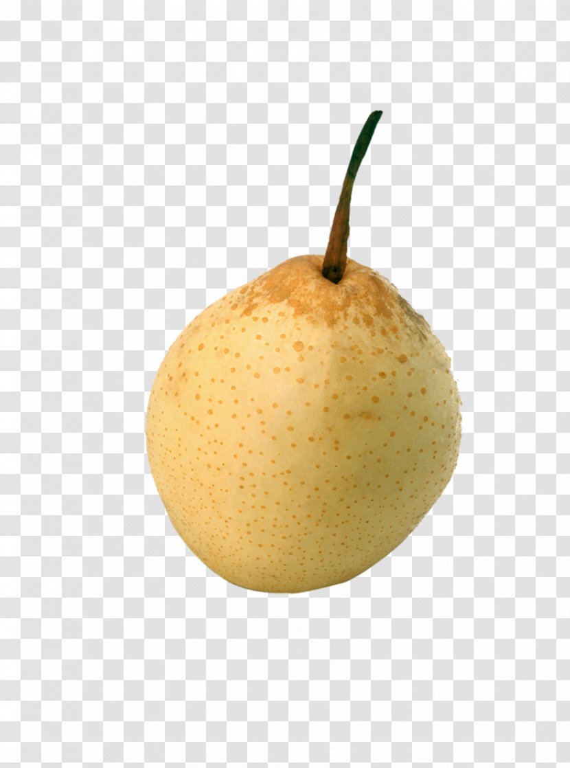 Asian Pear Pyrus Xd7 Bretschneideri Download - Food Transparent PNG