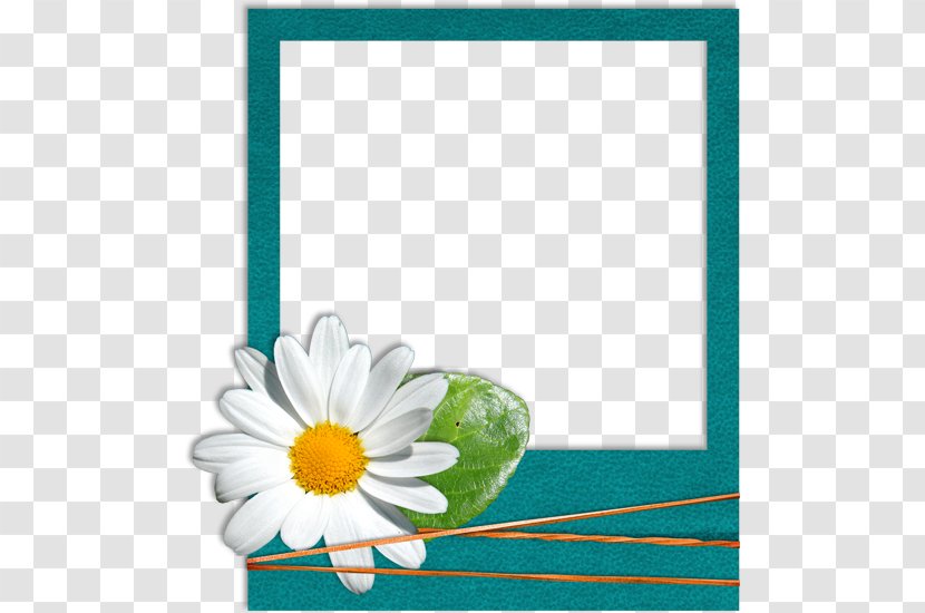 Paper Gift Picture Frame - Floral Design - Envelope Transparent PNG