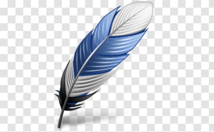 Eagle Feather Law Bird Flight Transparent PNG
