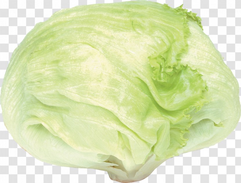 Cabbage Romaine Lettuce Butterhead Cauliflower Kale - Image Transparent PNG