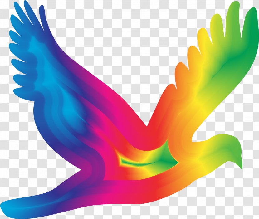 Columbidae Bird Clip Art - Feather - Flying Dove Transparent PNG