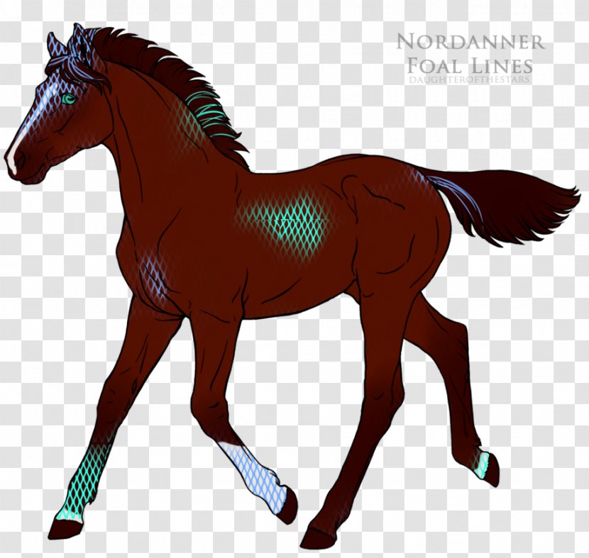 Mane Mustang Foal Stallion Pony - Mammal Transparent PNG