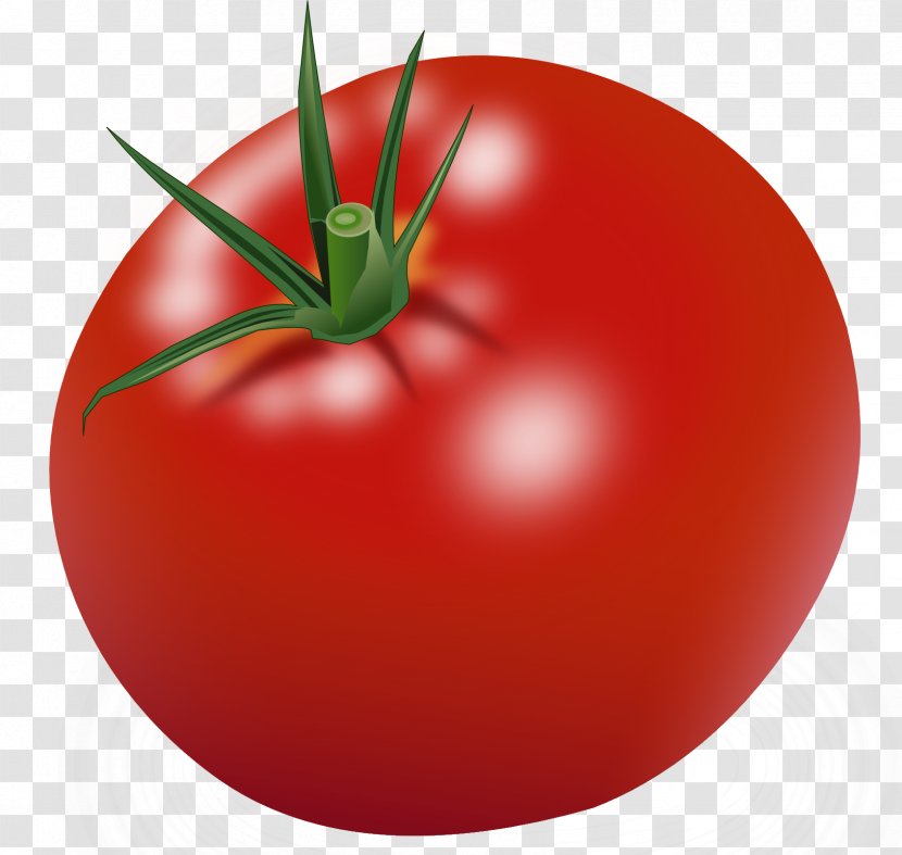 Tomato Free Content Pixabay Clip Art - Natural Foods Transparent PNG