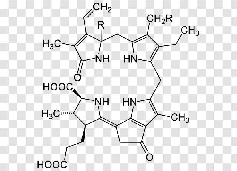 Luciferin Dinoflagellate Luciferase Dinoflagellates Lingulodinium Polyedra - Firefly Transparent PNG