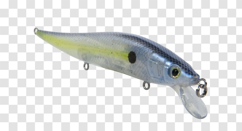Spoon Lure Milkfish Osmeriformes Oily Fish Transparent PNG