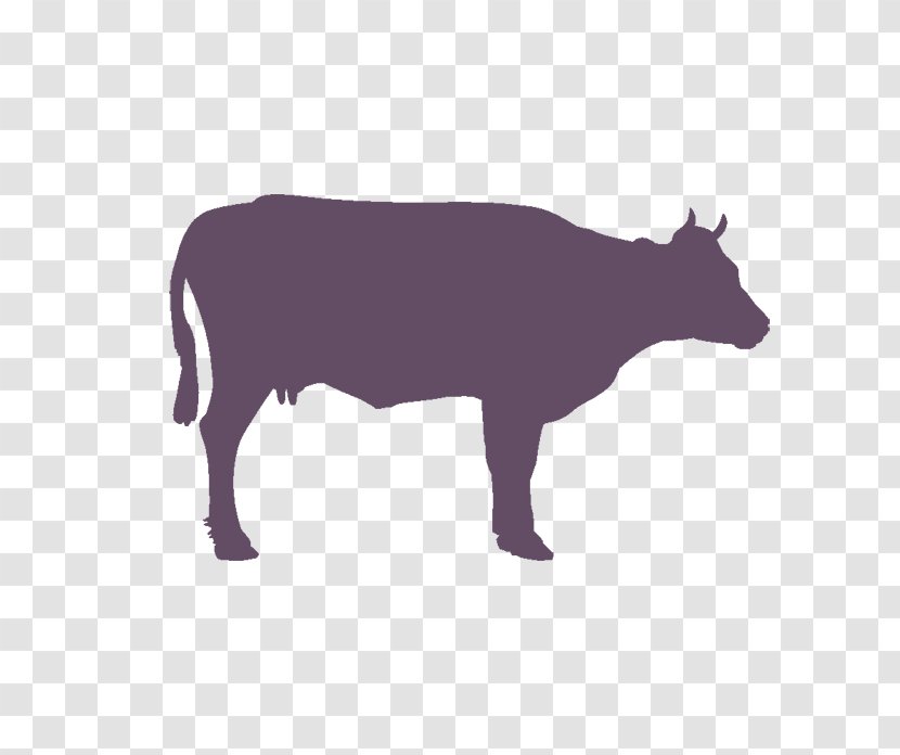 Family Silhouette - Limousin Cattle - Cowgoat Transparent PNG