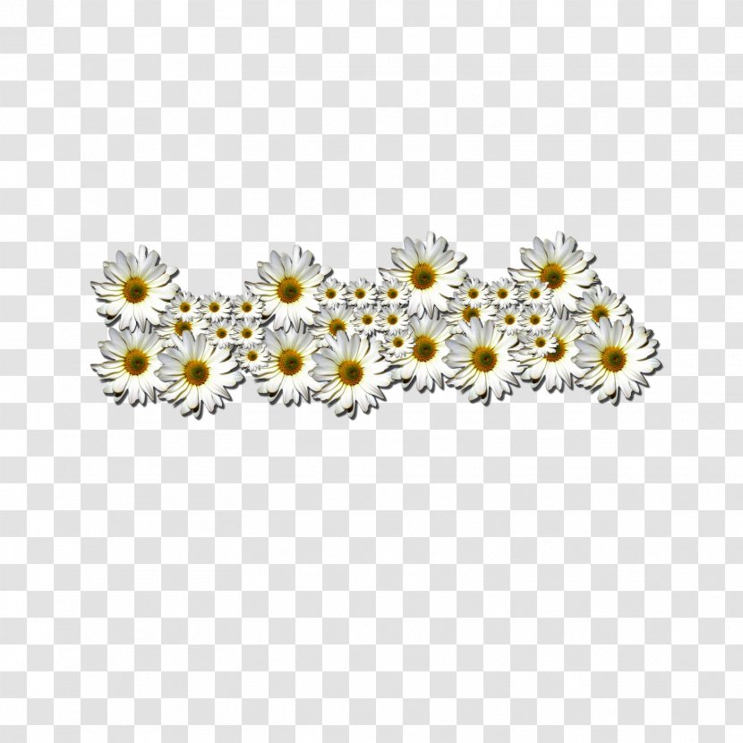 Margarita Desktop Wallpaper - Common Daisy - Flowers In Clusters Transparent PNG