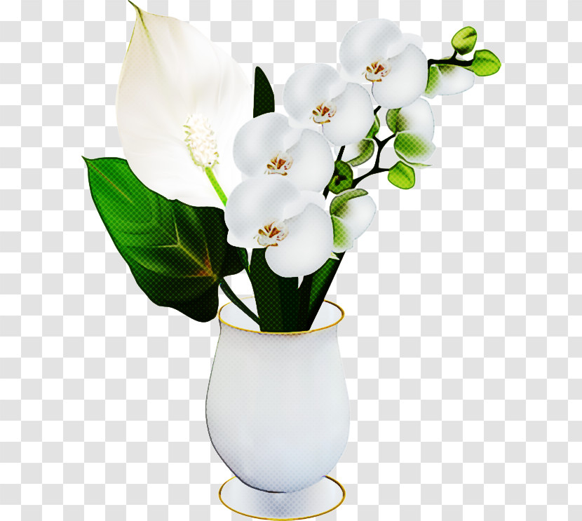 Floral Design Transparent PNG