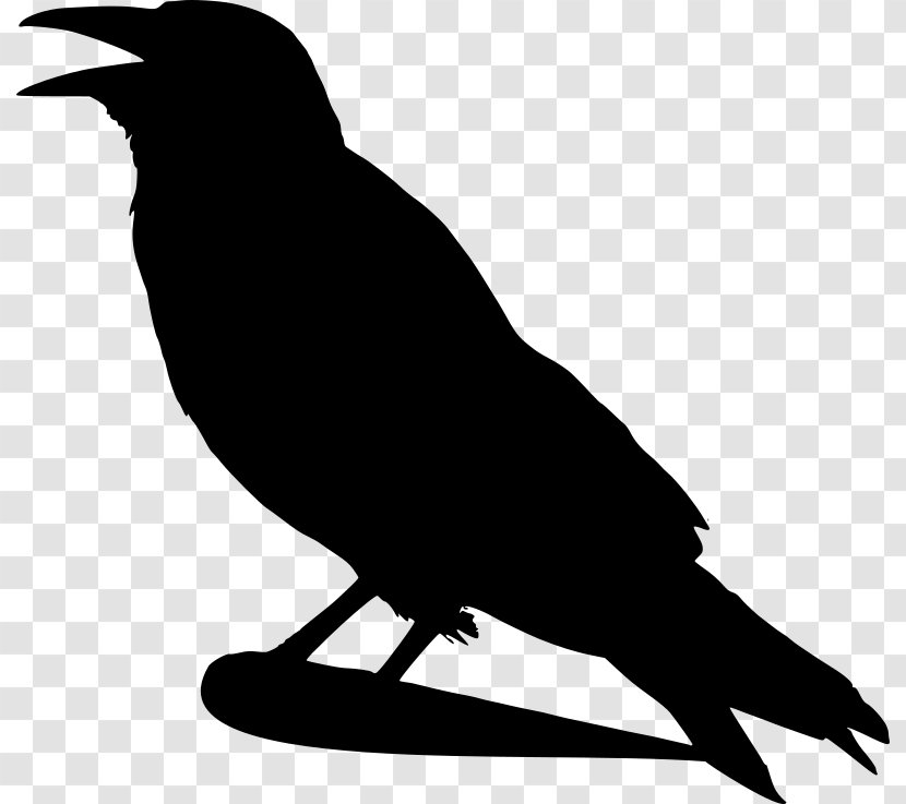 Bird Crow Silhouette Clip Art - Common Raven - Silhouettes Transparent PNG