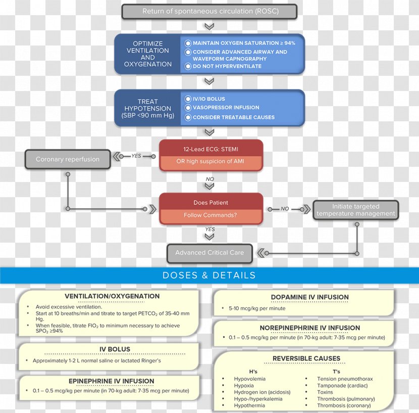 Advanced Cardiac Life Support Cardiology Arrest Cardiovascular Disease Asystole Transparent PNG