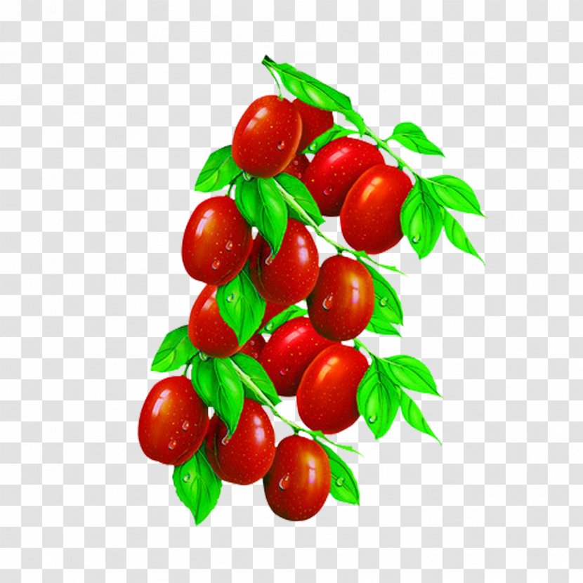 Jujube Tea Barbados Cherry Food - Dates Transparent PNG
