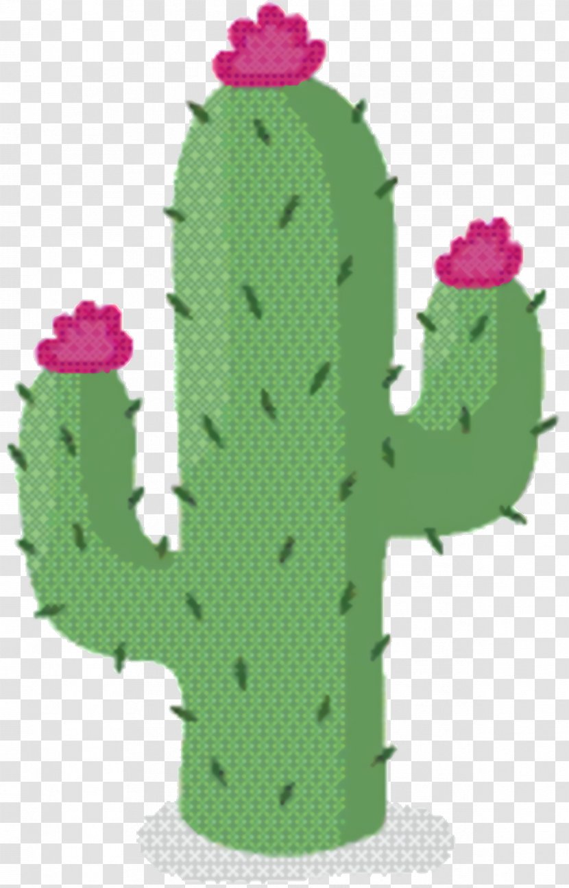 Green Leaf Background - Thorns Spines And Prickles - Hedgehog Cactus Saguaro Transparent PNG