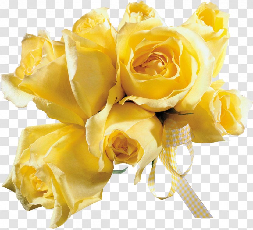 Animation Yellow Photography Blingee - Petal - Rose Transparent PNG