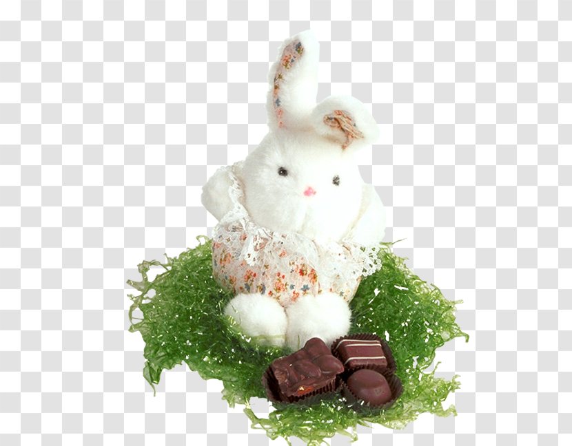 Easter Bunny Rabbit Egg - Food Transparent PNG
