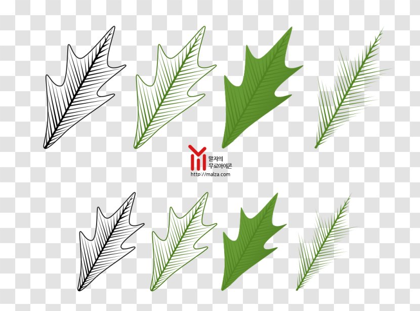 Leaf Grasses Plant Stem Family Transparent PNG