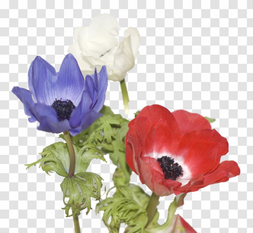 Cut Flowers Floral Design Artificial Flower Bouquet Transparent PNG