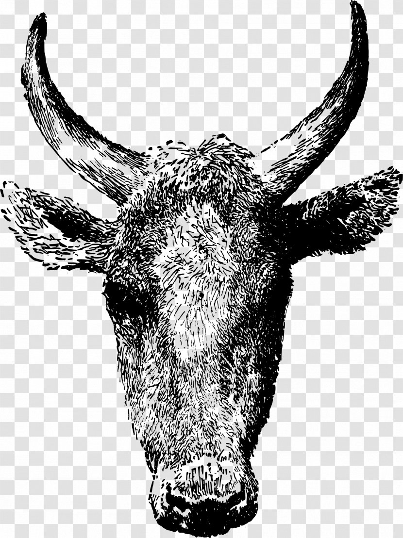 Texas Longhorn Beef Cattle Angus Clip Art - Ox - Bull Transparent PNG