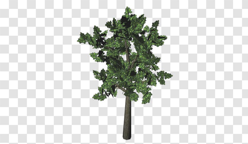 Fiddle-leaf Fig Common Tree Albizia Julibrissin - Nature Story - TREE 3D Transparent PNG