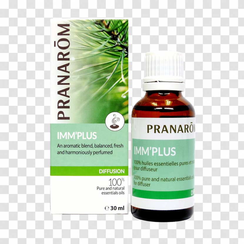 Essential Oil Aromatherapy Carrier Cymbopogon Citratus - Grass Transparent PNG