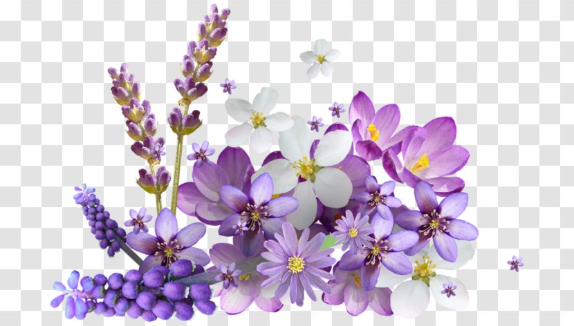 Flower Internet Explorer Download Clip Art - Lavender Transparent PNG
