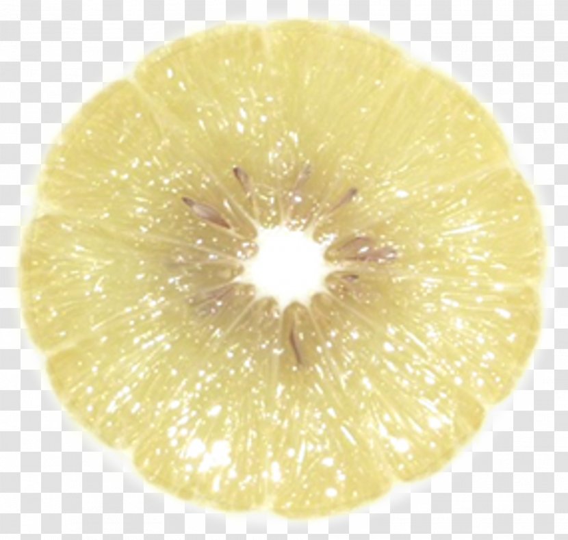 Fruit - Vegetarian Food - Bergamot Transparent PNG