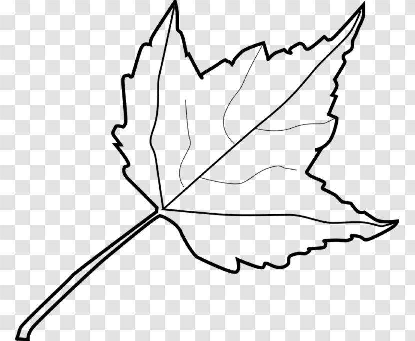 Autumn Leaf Color Outline Clip Art - Branch Transparent PNG