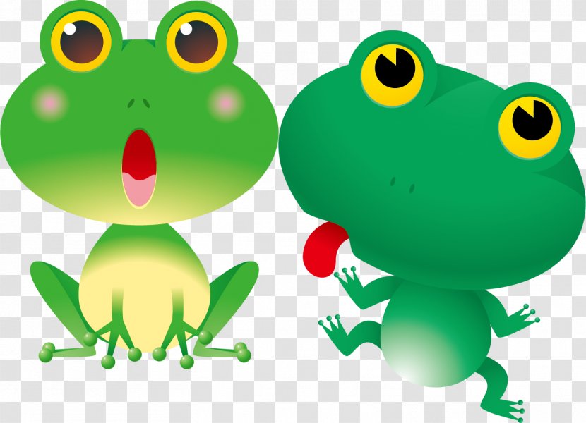 Frog Cartoon Lithobates Clamitans Clip Art - American Bullfrog - Cute Background Material Transparent PNG