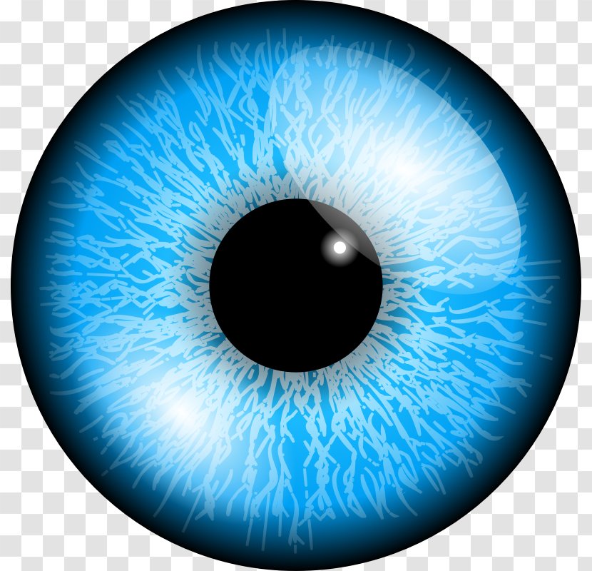 Eye Color Blue Clip Art - Frame - Pictures On The Keyboard Transparent PNG